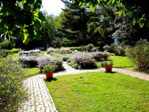 A sunny garden with pathways, flower beds, and potted plants surrounded by trees and greenery.