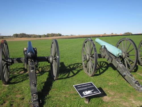 Two historic cannons on a grassy field, with a clear sky and distant trees in the background.