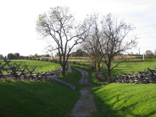A winding dirt path through a green landscape, flanked by wooden fences and trees under a clear sky.