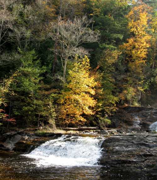 A serene waterfall cascades over rocks, surrounded by vibrant autumn foliage and lush green trees.