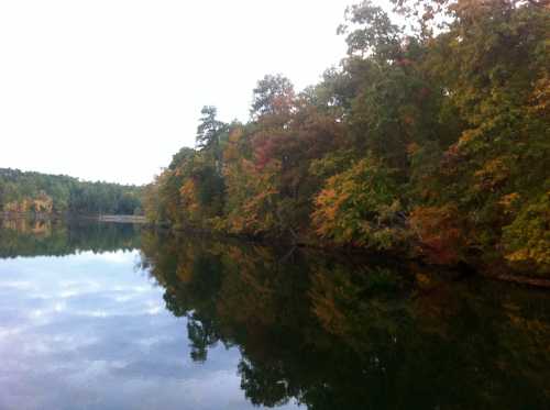 A serene lake surrounded by trees displaying vibrant autumn colors, reflecting on the calm water.