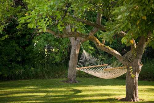 A cozy hammock hangs between two trees in a lush green yard, surrounded by vibrant foliage.