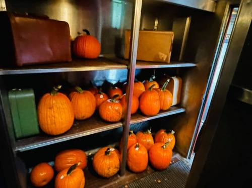 A shelf filled with bright orange pumpkins and vintage suitcases in a dimly lit space.