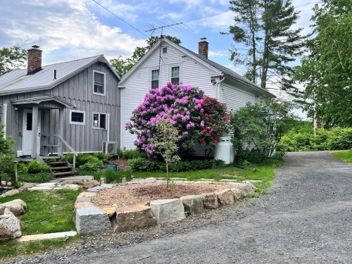 A gravel path leads to two houses, one gray and one white, with a large flowering bush in front and trees in the background.