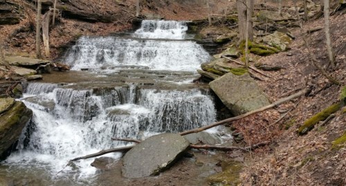A serene waterfall cascades over rocky steps, surrounded by bare trees and fallen leaves in a tranquil forest setting.