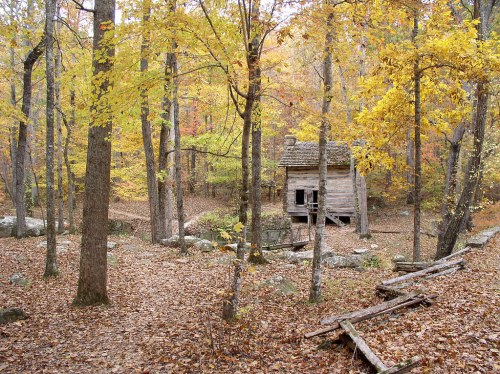 A rustic wooden cabin surrounded by vibrant autumn trees and fallen leaves in a serene forest setting.