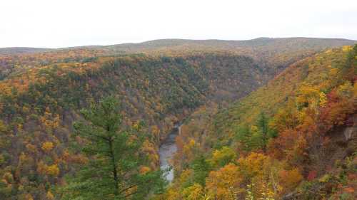 A scenic view of a valley with colorful autumn foliage and a winding river below.