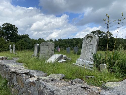 A serene graveyard with weathered tombstones surrounded by tall grass and trees under a cloudy sky.