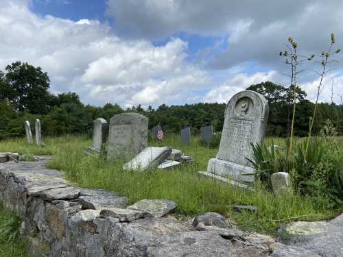 A serene graveyard with weathered tombstones surrounded by tall grass and trees under a cloudy sky.