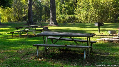 A peaceful park scene featuring wooden picnic tables and a grill surrounded by lush green trees and grass.