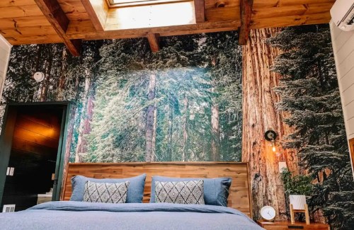 Cozy bedroom featuring a wooden bed, blue bedding, and a forest mural on the wall, with a skylight above.