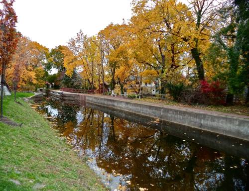 A serene canal lined with trees in autumn, reflecting vibrant yellow and orange leaves on the water's surface.