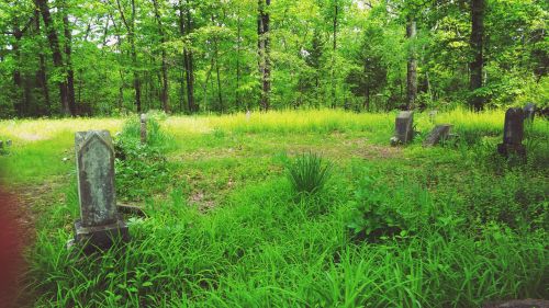 A serene, overgrown graveyard surrounded by lush green trees and tall grass, with several weathered gravestones.