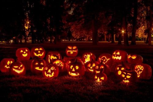 A collection of carved pumpkins glowing in the dark, set in a park with trees and lights in the background.