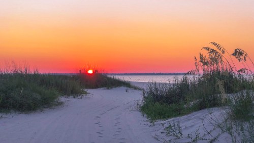 A serene beach scene at sunset, with vibrant orange and pink skies, gentle waves, and tall grasses framing the view.