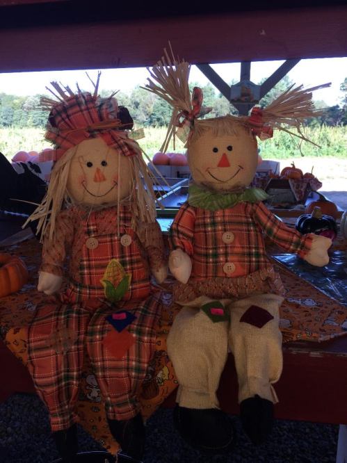 Two cheerful scarecrow dolls in plaid outfits, with straw hair and colorful accents, sit on a table decorated for fall.