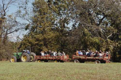 A tractor pulls two trailers filled with people through a grassy field surrounded by trees on a sunny day.