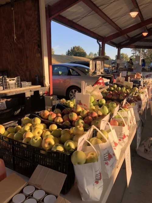 A market stall filled with baskets of apples and bags, with cars and trees in the background under a clear sky.