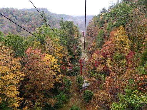A scenic view from a cable car, showcasing vibrant autumn foliage and rolling hills in the background.