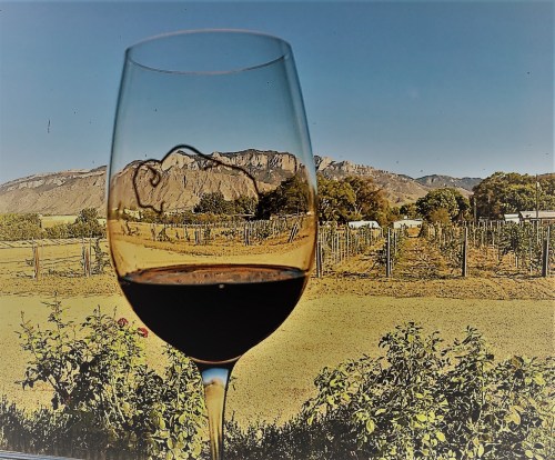 A glass of red wine in front of a scenic vineyard and mountains under a clear blue sky.