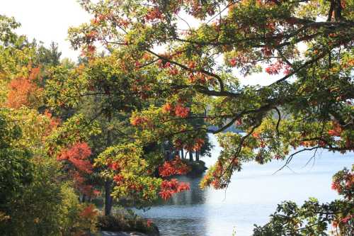 A serene lake surrounded by trees with vibrant autumn foliage reflecting in the water.