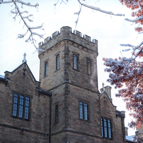 A stone tower with battlements, surrounded by snow-covered branches and a clear blue sky.