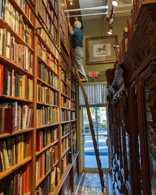 A person on a ladder reaches for books on a high shelf in a cozy, well-stocked bookstore.