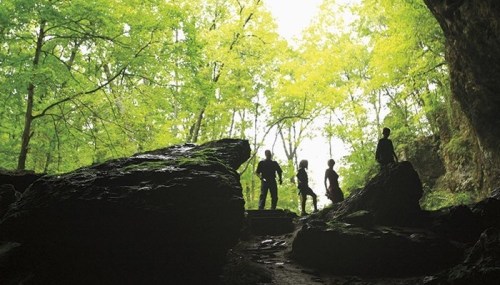Silhouettes of four people standing among large rocks in a lush, green forest. Light filters through the trees.