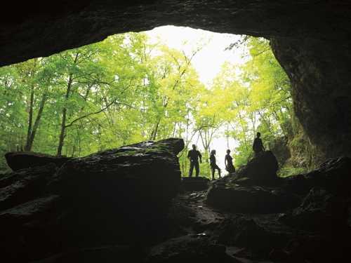 Silhouettes of people standing among rocks at the entrance of a cave, framed by lush green trees outside.