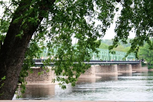 A green bridge spans a river, framed by lush trees on the bank, creating a serene natural scene.