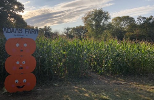 A farm scene featuring a sign with three painted pumpkins and a cornfield under a cloudy sky.