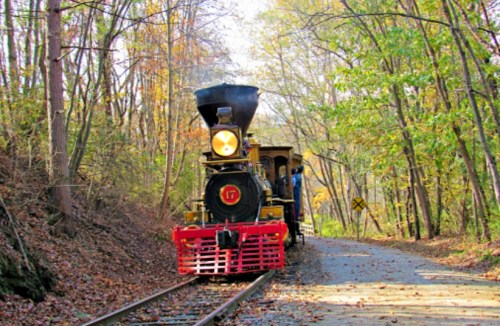 A vintage steam locomotive on a tree-lined track, surrounded by autumn foliage.