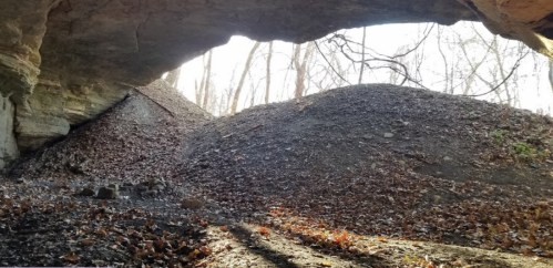 A rocky cave entrance with sunlight filtering through, surrounded by trees and a leaf-covered ground.