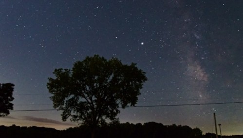 A starry night sky with a visible Milky Way and a silhouette of a tree in the foreground.