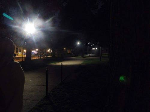 A dimly lit park at night, featuring streetlights and a pathway, with trees partially visible in the foreground.
