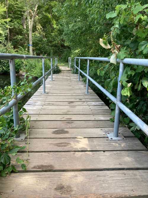 A wooden walkway with metal railings surrounded by greenery, leading over water into a lush, natural setting.