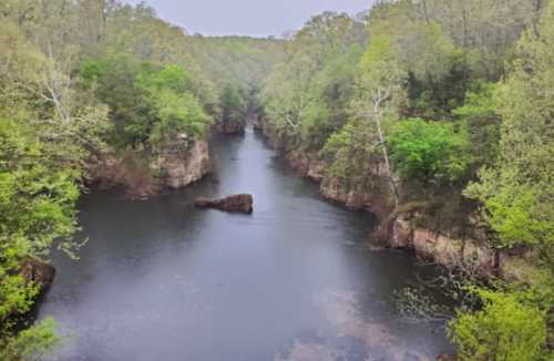 A serene river flows through a lush, green forest, with rocky cliffs lining the banks.