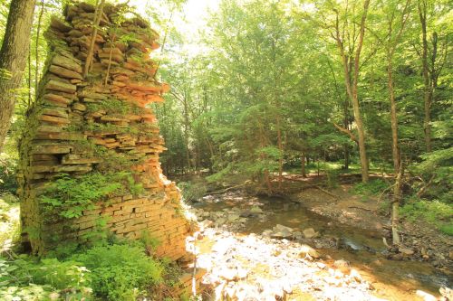 A sunlit forest scene featuring a moss-covered stone ruin beside a gently flowing stream.