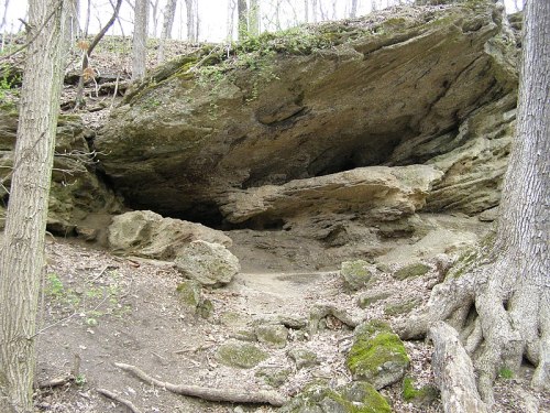A rocky cave entrance surrounded by trees and moss-covered ground in a forested area.