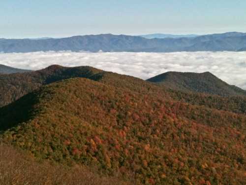 A scenic view of rolling mountains covered in autumn foliage, with clouds blanketing the valley below.