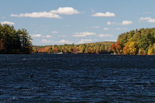 A serene lake surrounded by colorful autumn trees under a clear blue sky with fluffy white clouds.