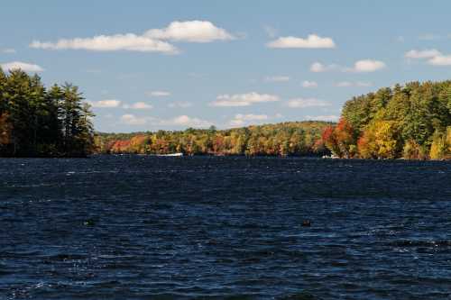 A serene lake surrounded by colorful autumn trees under a clear blue sky with fluffy white clouds.