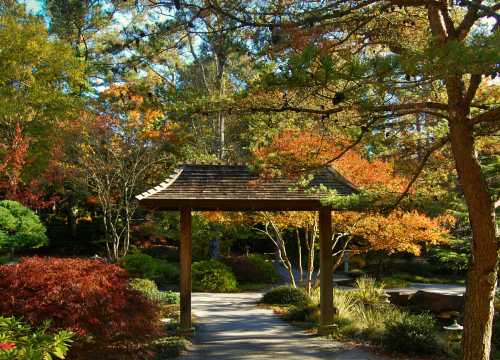 A serene garden path leads through vibrant autumn foliage and a traditional wooden gate.