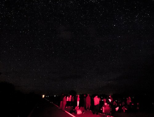 A group of people stargazing on a dark road, surrounded by a vast sky filled with stars.