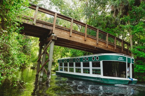 A green boat navigates under a wooden bridge surrounded by lush greenery in a serene waterway.
