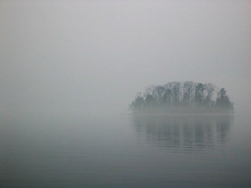 A small island with trees shrouded in fog, reflected in calm water, creating a serene and mysterious atmosphere.