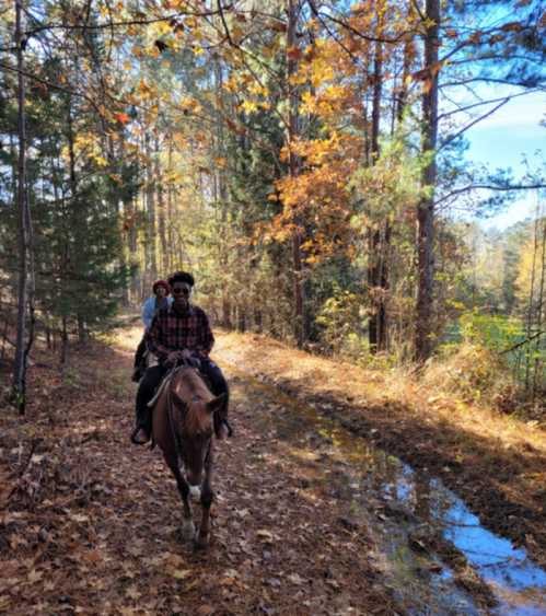 A person riding a horse on a wooded trail with autumn foliage, while another person follows behind.