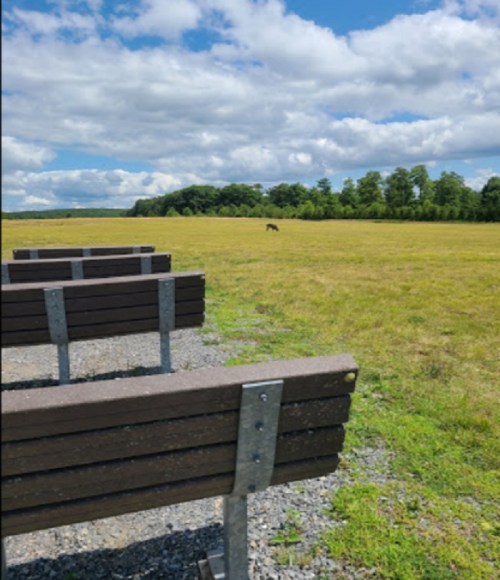 A row of benches facing a grassy field under a blue sky with scattered clouds. A distant figure is visible in the field.