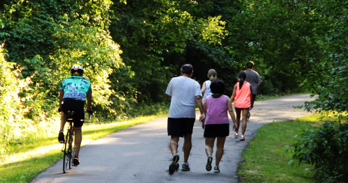 A cyclist rides on a path alongside a group of people walking in a lush, green park.