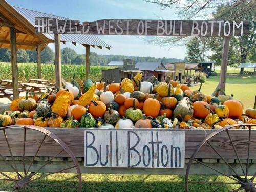A rustic display of colorful pumpkins and gourds at Bull Bottom, with a wooden sign reading "The Wild West of Bull Bottom."
